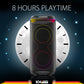 party speaker 100W