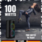 Rock & Roll RAVE 100W Party Speaker