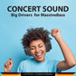 BH41 Bluetooth Wireless Over Ear Headphone (Black) - Blaupunkt India