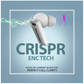 Blaupunkt BTW300 White Earbuds |ENC CRISPR TECH
